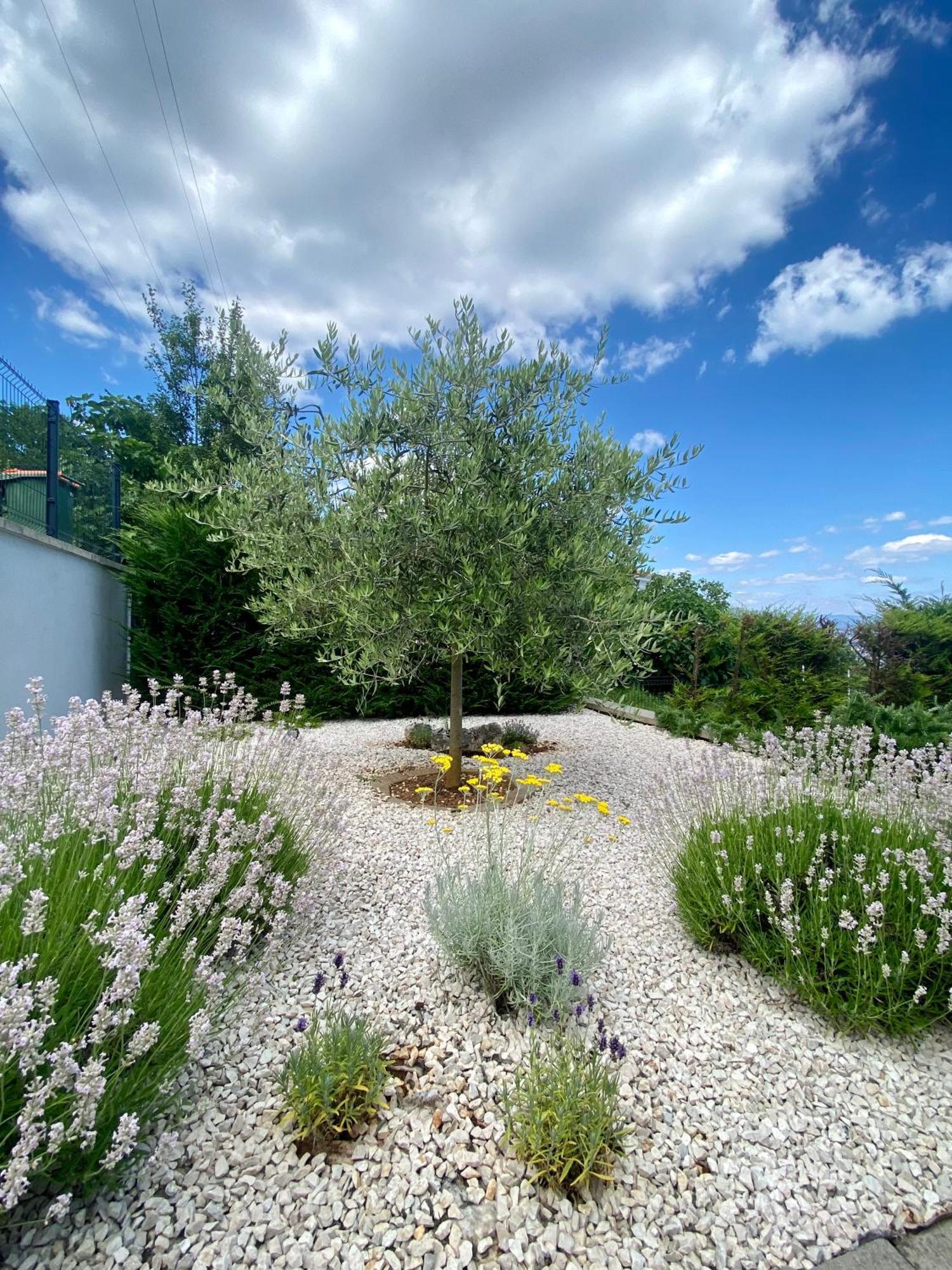 Villa Marta Opatija Buitenkant foto